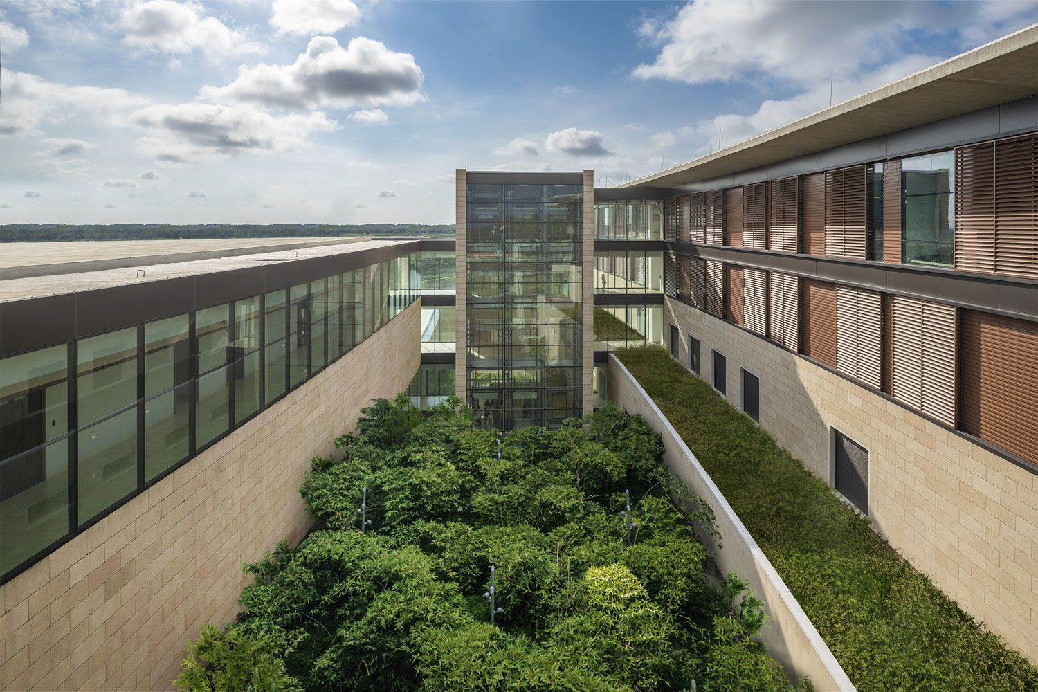 img-safdie-architects-hospital-serena-mar-11